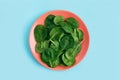 Green fresh vegetarian salad leaves on coral plate on blue background. Healthy and zero waste life concept