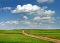 Green wheat field with dirt road in springtime with beautiful sky Royalty Free Stock Photo