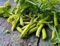 Green freshly picked pea pods and stems Royalty Free Stock Photo