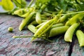 Green freshly picked pea pods and stems Royalty Free Stock Photo