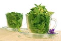 Green freshness Royalty Free Stock Photo