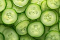 Green freshness backdrop Slices of cucumber backlit for texture Royalty Free Stock Photo