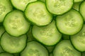 Green freshness backdrop Slices of cucumber backlit for texture Royalty Free Stock Photo