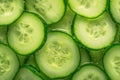 Green freshness backdrop Slices of cucumber backlit for texture Royalty Free Stock Photo