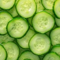 Green freshness backdrop Slices of cucumber backlit for texture Royalty Free Stock Photo