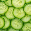 Green freshness backdrop Slices of cucumber backlit for texture Royalty Free Stock Photo