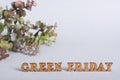 Green Friday concept letters and branch on green background