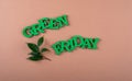 Green Friday eco friendly concept