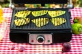 Green fried bell pepper lies on grill