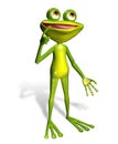 Green frog Royalty Free Stock Photo