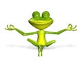 Green frog Royalty Free Stock Photo