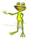 Green frog Royalty Free Stock Photo