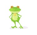 Green frog character cartoon vector illustration isolated Royalty Free Stock Photo