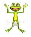 Green frog Royalty Free Stock Photo