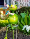 green frog in the garden Royalty Free Stock Photo