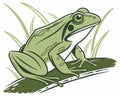 Green frog in grass silhouette Royalty Free Stock Photo