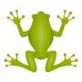 Green frog isolated on white background. Vector illustration Royalty Free Stock Photo