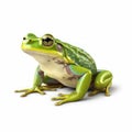 Green frog isolated on white created with Generative AI Royalty Free Stock Photo