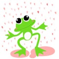 Green frog love rainy day Royalty Free Stock Photo
