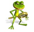 Green frog with magnifying Royalty Free Stock Photo
