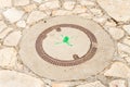 A green frog is painted on a manhole cover in the famous artists village Ein Hod near Haifa in northern Israel