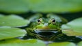 Green frog showing signboard, with blank copy space area for slogan. Generative Ai