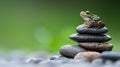 A green frog sits atop a stack of rocks. Royalty Free Stock Photo