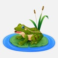 Green frog sits on a leaf in the pond Royalty Free Stock Photo