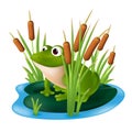 A green frog sitting on a lily pad in a pond with reeds in the marsh grass. Vector illustration of a cartoon character in a shrub Royalty Free Stock Photo