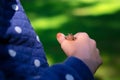 Green frog sitting on little girl hand. Child holding frog in th Royalty Free Stock Photo