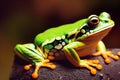 Green frog sitting on a rock. Photorealistic 3d render portrait Generative AI illustration