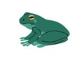 Green frog, small amphibian animal, side view. Little froggy profile. Abstract aquatic wild tropical creature. Flat