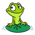 Green frog smile water lily leaf animal