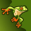 Green frog standing illustration