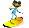 Green frog on a surfboard Royalty Free Stock Photo
