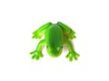 Green frog toy.