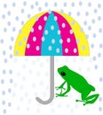 Green frog under umbrella Royalty Free Stock Photo