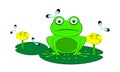 Green frog. Vector illustration