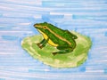 A green frog on a water lily leaf in a pond. Hand drawing made by color markers Royalty Free Stock Photo