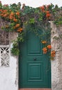 Green front door with orange flowers Royalty Free Stock Photo