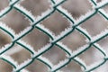 Green Frozen Barbed Wire Fence Royalty Free Stock Photo