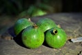 Green fruits of the American genipa on wooden table