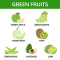 Green fruits collection, info graphic food vector