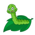 Green fun caterpillar insect leaf character cartoon