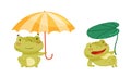 Green funny frog characters set. Cute toad amphibian animals with umbrellas cartoon vector illustration Royalty Free Stock Photo