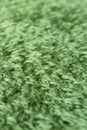 Green fur fleece throw blanket background.