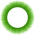 Green Furry Moss Fiber Sprouts Round Frame Downy Grass Cadre