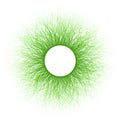 Green Furry Moss Fiber Sprouts Round Frame Downy Plexus Cadre