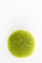 Green fuzzy spherical hair ball on white background with copy space. Royalty Free Stock Photo