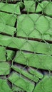 Green gabion used as wall